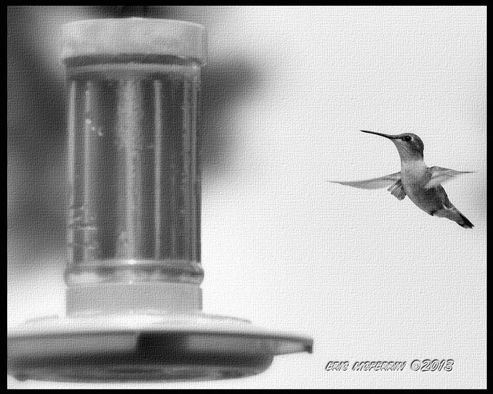 IMAGE: http://ericmcferrin.smugmug.com/photos/i-8ZpRvMm/0/XL/i-8ZpRvMm-XL.jpg